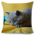 Cute Cat Print Fold Ear Pet Pillowcase for Cozy Home Decor by Ljojo