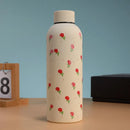 Ljojo 17oz Stainless Steel Thermal Tumbler for Travel, Sports, and Everyday Use