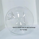 Clear Glass Sphere G9 Lamp Cover for Ljojo Lighting Fixture