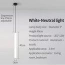 Ljojo LED Pendant Light 360°Luminous Minimalist Style Ceiling Fixture for Living Room Dining Bedroom