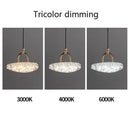 Crystal Glass LED Pendant Light Modern Luxury Chandelier Home Decor Ljojo