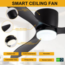 Ljojo Minimalist Ceiling Fan LED Light Motor High Air Volume Remote Control.