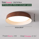 Ljojo LED Ceiling Light: Nordic Minimalist Remote Control Chandelier