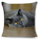 Cute Cat Print Fold Ear Pet Pillowcase for Cozy Home Decor by Ljojo