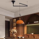 Brown Acrylic Pendant Lamp LED Chandelier for Bedroom Dining Room by Ljojo