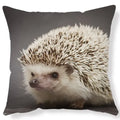 Ljojo Lovely Little Hedgehog Design Cushion Cover for 45*45cm Sofa Pillow