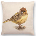 Birds Painting Cushion Cover - Ljojo Collection: Robin, Titmouse, Toucan, Sparrow, Firecrest, Cardinal, Bullfinch