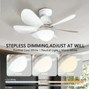 Ljojo 30W/40W LED Ceiling Fan with Remote Control and Dimming Function