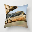 Cheetah Leopard Print Decorative Cushion Cover By Ljojo