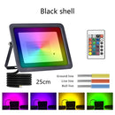 Ljojo™ RGB LED Flood Light 100W 50W 20W IP68 Waterproof Outdoor Spotlight