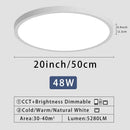 Ljojo 20" LED Smart Ceiling Lamp with Remote Control for Bedroom and Living Room