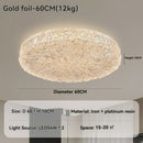 Ljojo Modern Minimalist Golden Resin Ceiling Lamp for Bedroom and Living Room Decor