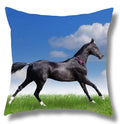 Fine Horse Print Cushion Cover for Home Decor by Ljojo