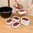 Ljojo Mini Crisper Refrigerator Food Container Box - Leakproof & Microwave Safe