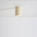 Ljojo Minimalist Cylinder LED Ceiling Light Modern Nordic Chandelier Hallway Kitchen Elegant Decor