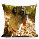 French Bulldog & Pug Dog Pillowcase by Ljojo - Decorative Animal Polyester Cushion Cover
