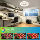 Ljojo LED Interior Chandelier Ceiling Light - Bedroom Living Room Home Appliance Lamp