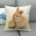 Easter Bunny Eggs Printed Pillow Covers 45x45cm - Ljojo Easter Decorations