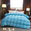 Ljojo Luxury Goose Down Quilted Cotton Winter Comforter Blanket