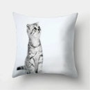 Cute Cat Print Cushion Cover for Sofa Decor by Ljojo