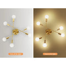 Ljojo LED Chandelier Ceiling Light for Kitchen Dining Livingroom