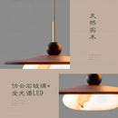 Modern Designer Minimalist Decor Hanging Lamp for Living Room by Ljojo