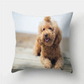 Cute Pug Bulldog Pillowcase for Living Room Decor - Ljojo Home Decor