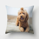 Cute Pug Bulldog Pillowcase for Living Room Decor - Ljojo Home Decor