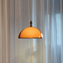 Brown Acrylic Pendant Lamp LED Chandelier for Bedroom Dining Room by Ljojo