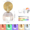 LED RGB Rechargeable Glass Wall Lamp Tulip Shade Ljojo Bedroom Study Lighting
