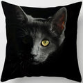 Ljojo  Black Cat Pillowcase  Decorative Square Cushion Cover 45*45cm