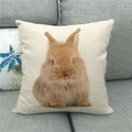 Easter Bunny Eggs Printed Pillow Covers 45x45cm - Ljojo Easter Decorations