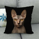 Fat Orange Cat Print Cushion Cover 45x45cm by Ljojo: Animal Pattern Home Decor Pillowcase