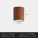 Ljojo Minimalist Cylinder LED Ceiling Light Modern Nordic Chandelier Hallway Kitchen Elegant Decor