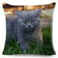 Cute Cat Print Fold Ear Pet Pillowcase for Cozy Home Decor by Ljojo