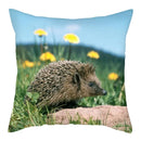 Hedgehog Print Pillow Cover for Home Sofa Decor - Ljojo
