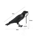 Ljojo Lively Bird Table Lamp Resin Home Decor Lighting Wall Fixture