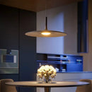 LED Pendant Lamp Modern Designer UFO Nordic Industrial Art for Cafe Dining Room by Ljojo