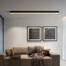 LED Long Strip Ceiling Light 80CM Modern Living Room Hallway Balcony Indoor Lighting Ljojo