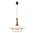 Ljojo Modern LED Pendant Lights Creative Chandeliers for Home Decor and Restaurant Lighting