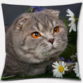 Cute Cat Series Pillowcase for Home Decor by Ljojo