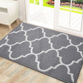 Ljojo Low-Pile Indoor Entrance Mat: Absorbent, Non-Slip & Washable Entry Rug