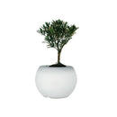 Ljojo 16-Color Waterproof Desk Lamp With Remote Control Plant Pot Table Light