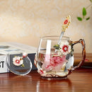 Enamel Glass Mug Set with Lid & Spoon by Ljojo: High-Temperature-Resistant Teaware