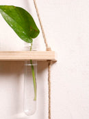 Ljojo™ Air Plants Wall Hanging Floating Shelf Boho Art Home Decor