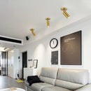 Ljojo LED Ceiling Lights: Adjustable Lampshade, Perfect for Dining Room, Kitchen, Bedroom
