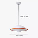 Acrylic Pendant Lamp Scandinavian Dining Room Chandelier by Ljojo