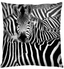 Ljojo 3D Animal Print Cushion Covers (18" x 18") - Cute Collection