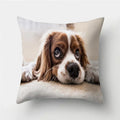 Cute Pug Bulldog Pillowcase for Living Room Decor - Ljojo Home Decor