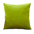 Green Velvet Throw Pillow Cover 45*45cm - Ljojo Ultra Soft Pillowcase